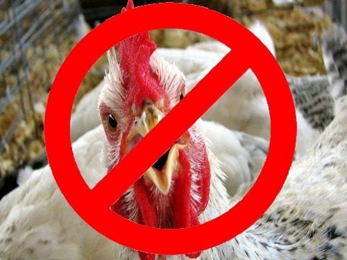 Внимание! Угроза в области гриппа птиц.